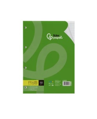 Recarga Liderpapel A4 100 Folhas 100g Pautado