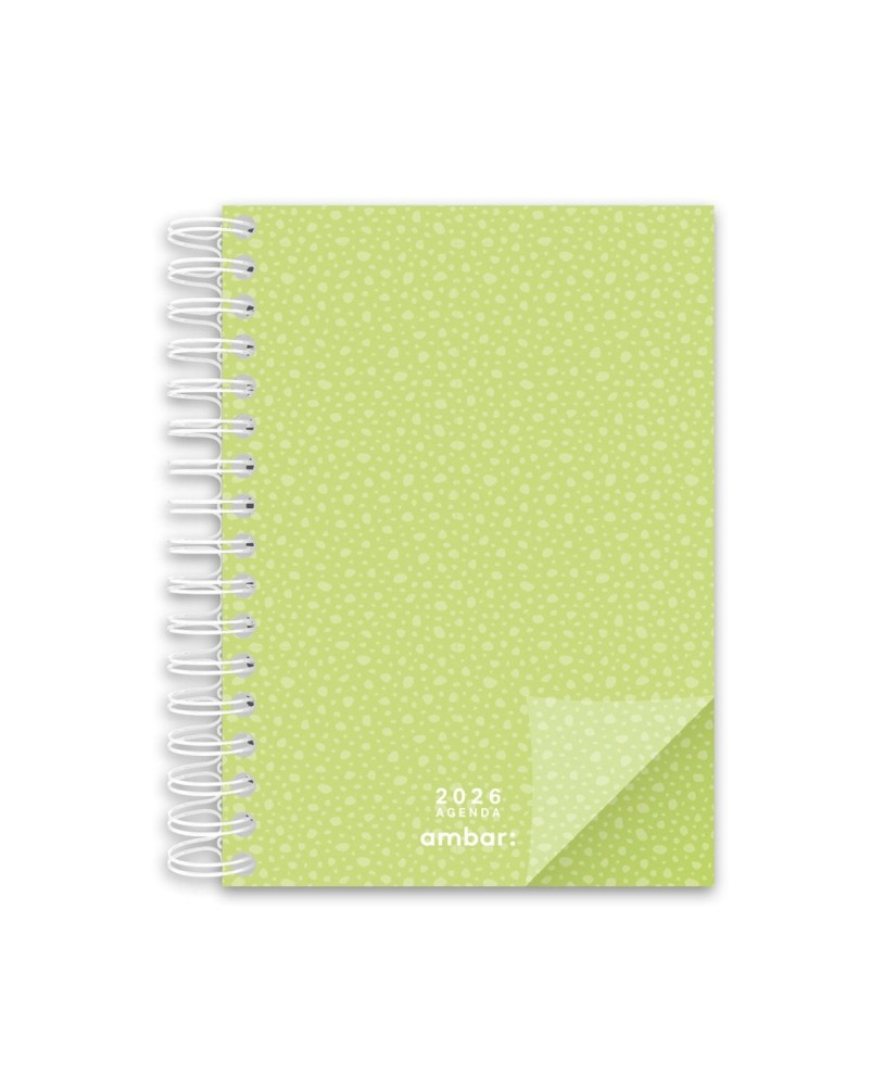 Agenda Diária A5 2026 Espiral Ambar Look