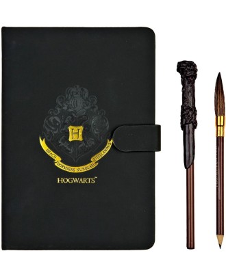 Conjunto Diário de Harry Potter