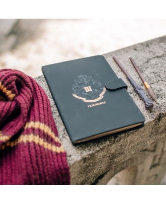 Conjunto Diário de Harry Potter