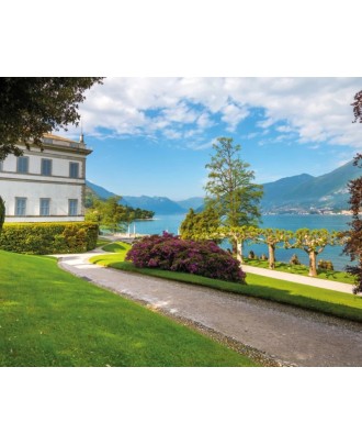 Odisseias - Mil e Uma Noites Únicas