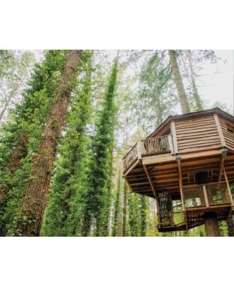 Odisseias - Escapadinhas Insólitas