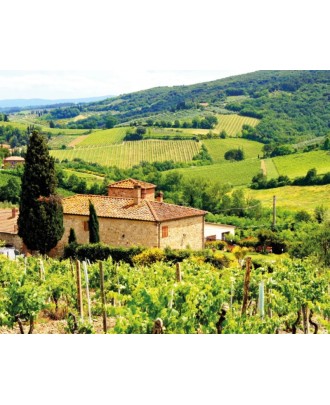 Odisseias - Fugas a Dois