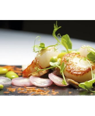 Odisseias - Mil Momentos Inasquecíveis